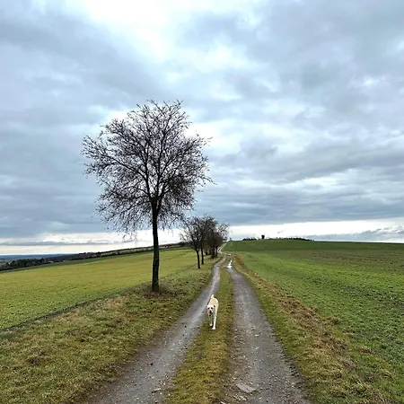 Apartmán Mit Familienfreundlichem Garten Dahlen