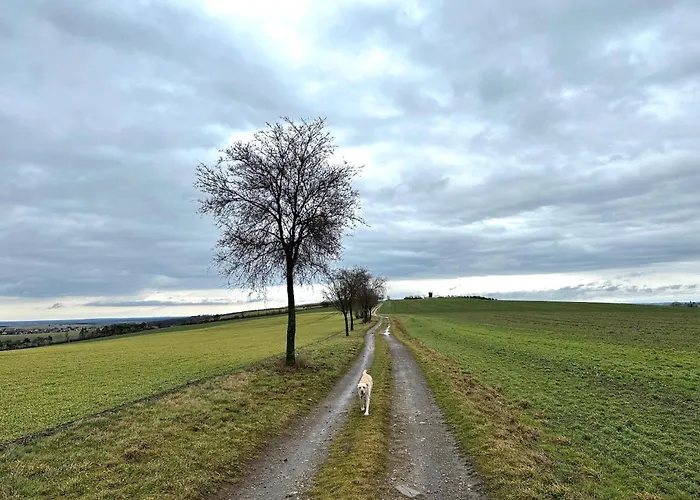 Apartmán Mit Familienfreundlichem Garten Dahlen